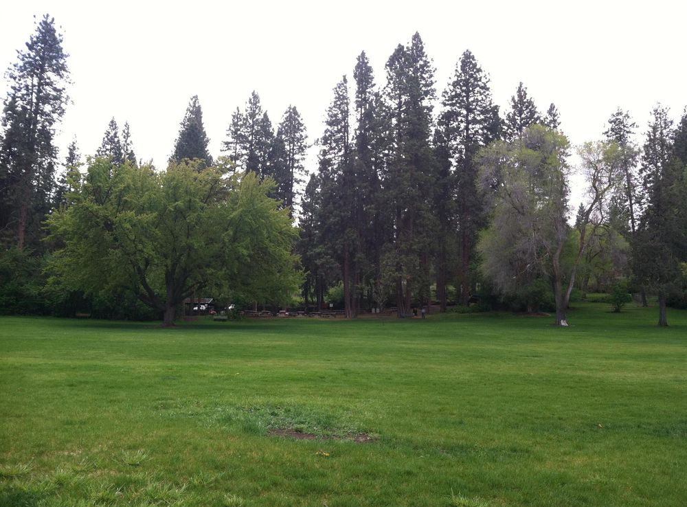 File:Moore park picnic area.jpeg - Wikimedia Commons