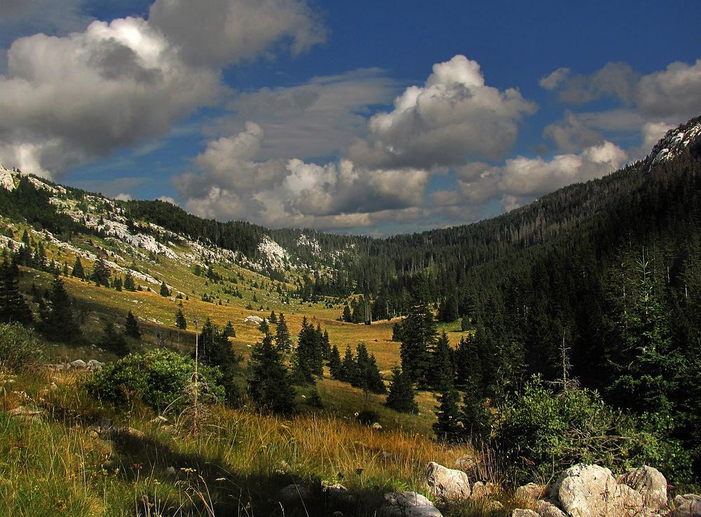 File:Lomska-Duliba Uvala NatPark-Velebit Dinarides Croatia.jpg - Wikimedia  Commons