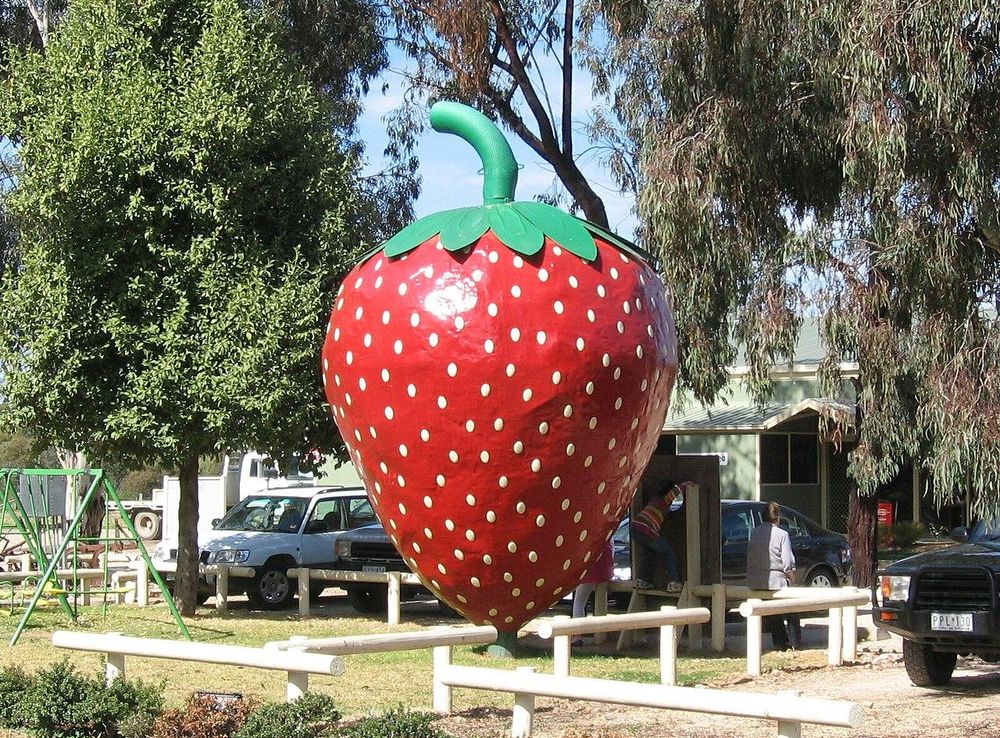 File:KoonoomooBigStrawberry.JPG - Wikimedia Commons