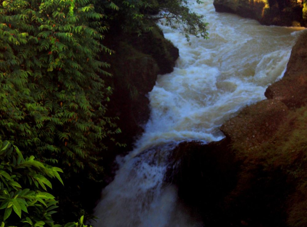 File:Davis Fall-Sfxr.jpg - Wikimedia Commons