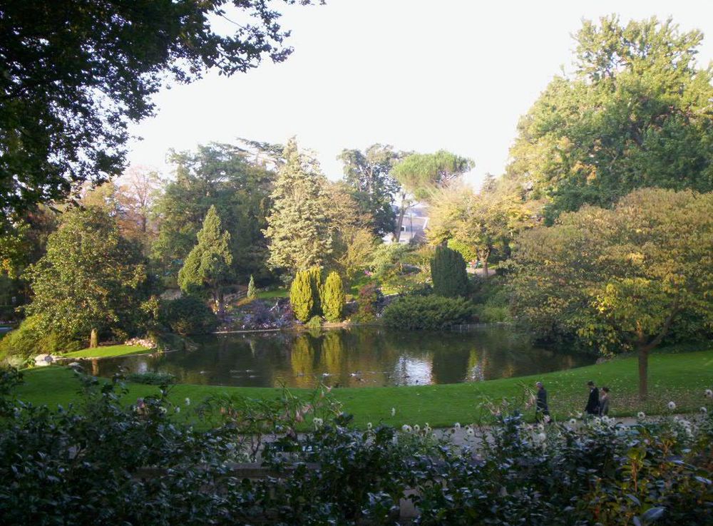 File:Jardin des plantes - Angers.jpg - Wikimedia Commons
