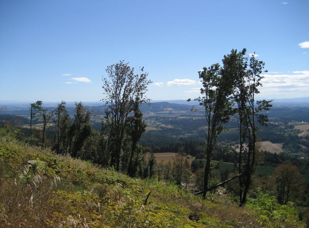 File:Bald Peak looking southeast.JPG - Wikimedia Commons