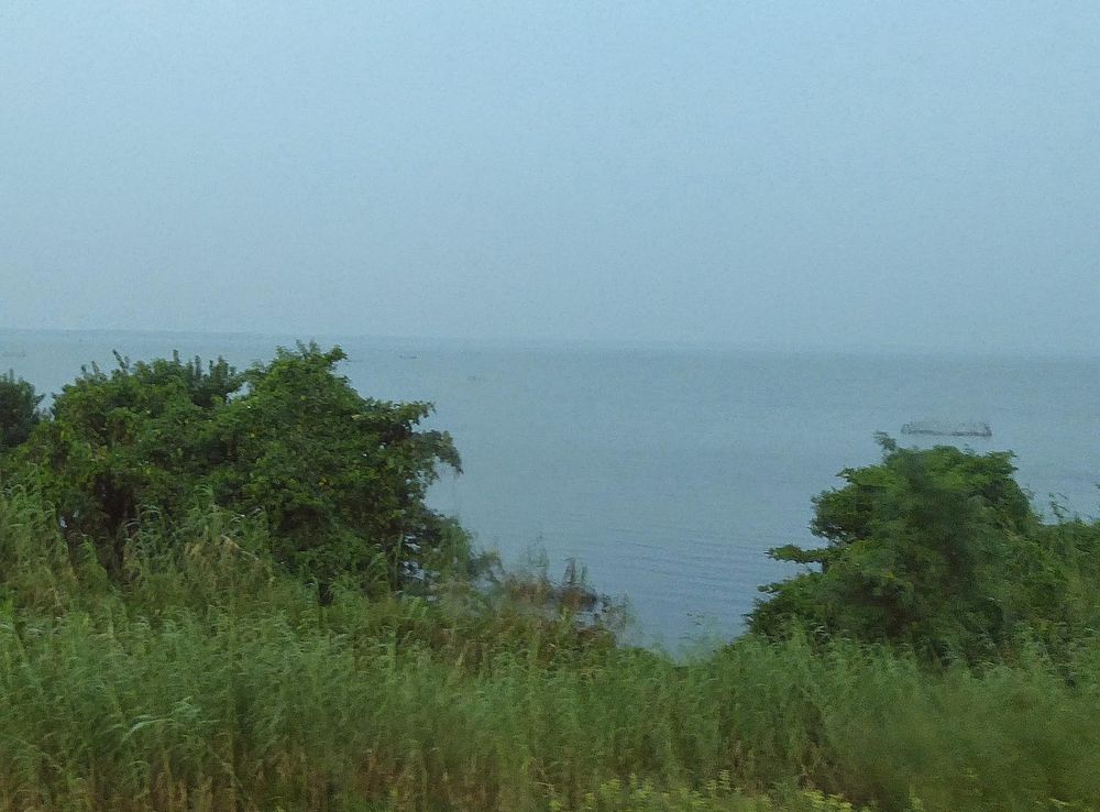 File:Negombo Lagoon (Muthurajawela marsh), Sri Lanka - panoramio.jpg -  Wikimedia Commons