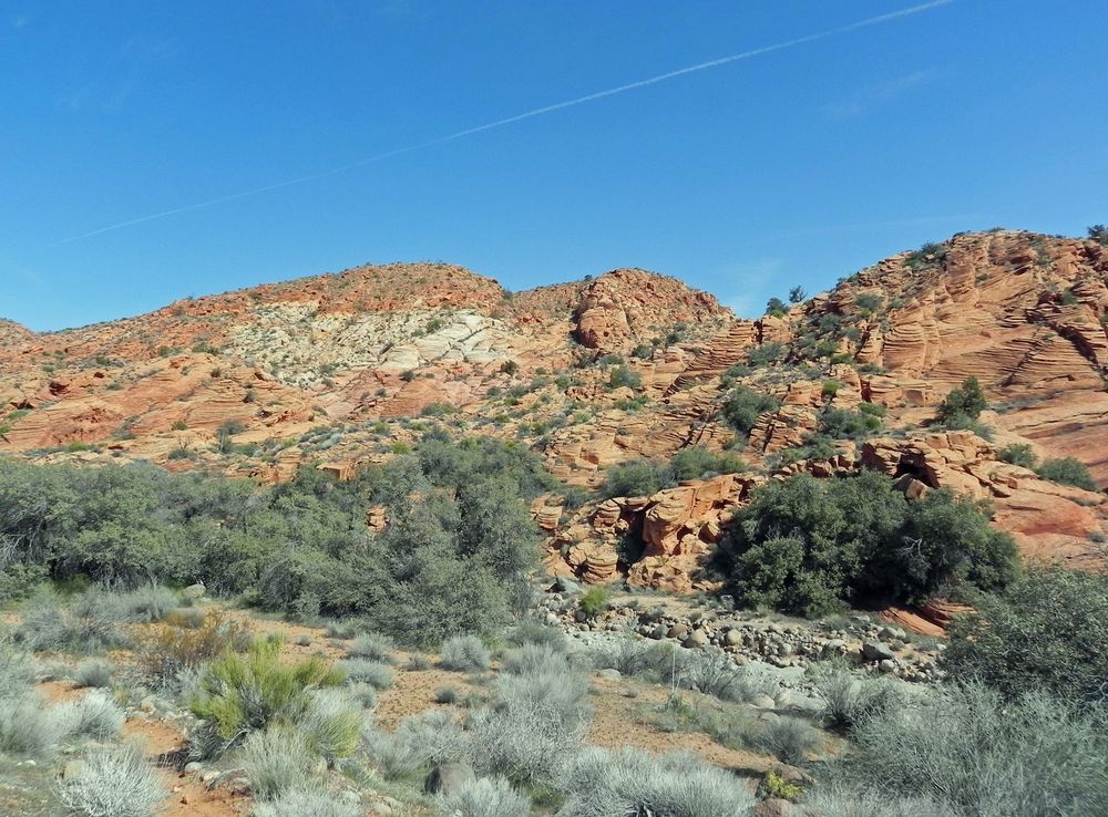 File:Red Cliffs Desert Reserve.JPG - Wikimedia Commons