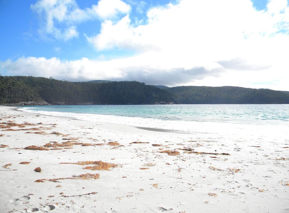 File:The white sands of Fortescue Bay.JPG - Wikimedia Commons