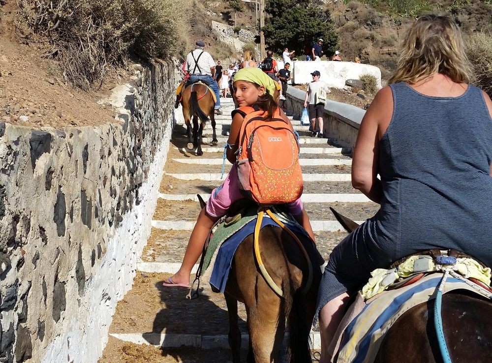 File:Fira donkey trail in Santorini Greece.jpg - Wikimedia Commons