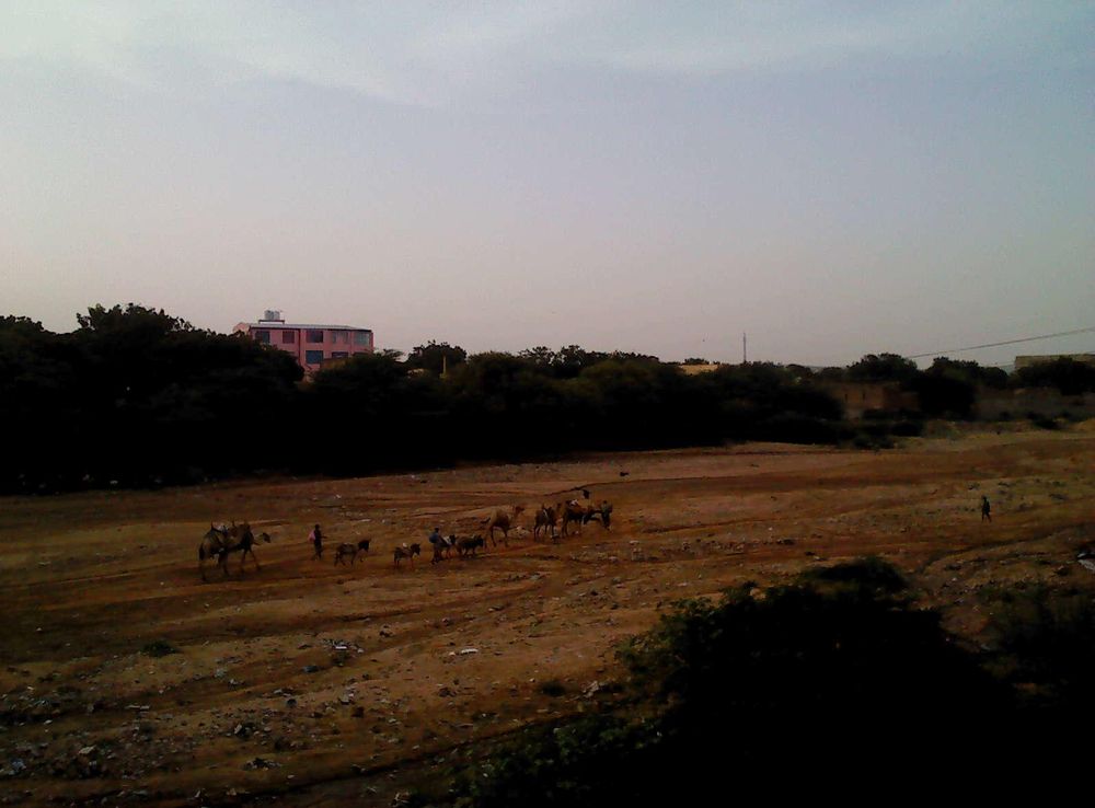 File:ET-Dire Dawa, Ethiopia (10).JPG - Wikimedia Commons