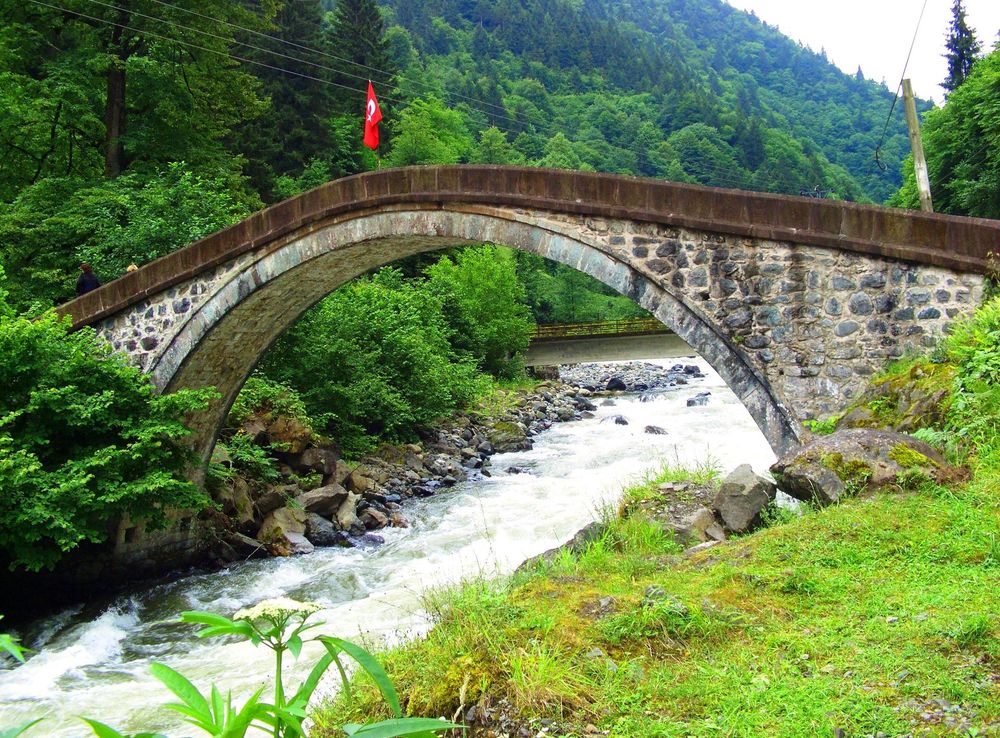 Dosya:ArchBridgeOverFirtinaDeresi@Rize-Turkey-1.JPG - Vikipedi