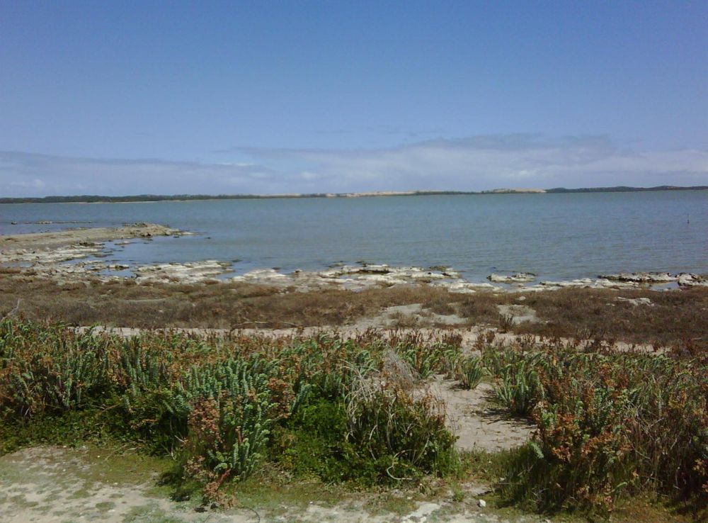 File:CoorongSaltCreek.jpg - Wikimedia Commons