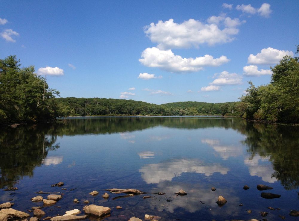 File:2014-08-26 16 09 06 View east-northeast across Sunfish Pond from the  Appalachian Trail about 3.7 miles northeast of the Delaware Water Gap in Worthington  State Forest, New Jersey.JPG - Wikimedia Commons