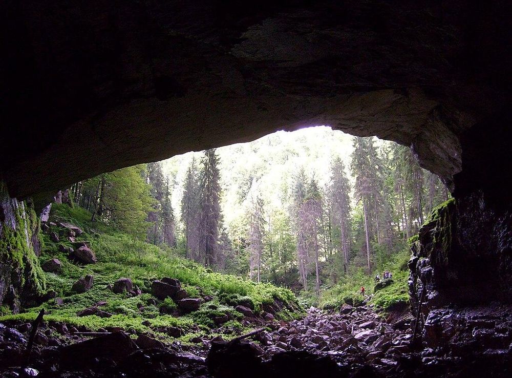 Fișier:Coiba Mare Portal.jpg - Wikipedia