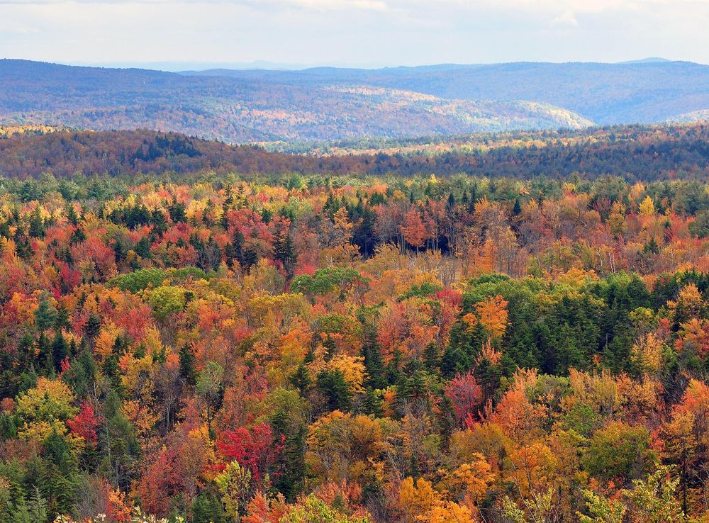 File:Vermont fall foliage hogback mountain.JPG - Wikimedia Commons