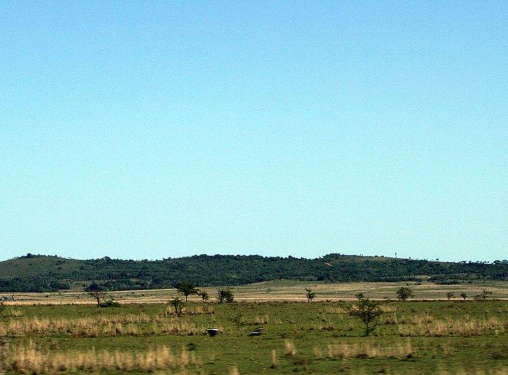 Archivo:Cerro Pero IMG 8423 02.JPG - Wikipedia, la enciclopedia libre