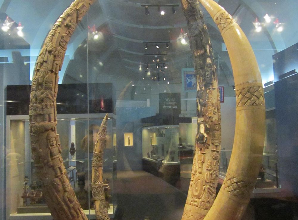 File:Carved tusks (Edo, Benin City, Nigeria), World Museum Liverpool  (2).JPG - Wikimedia Commons
