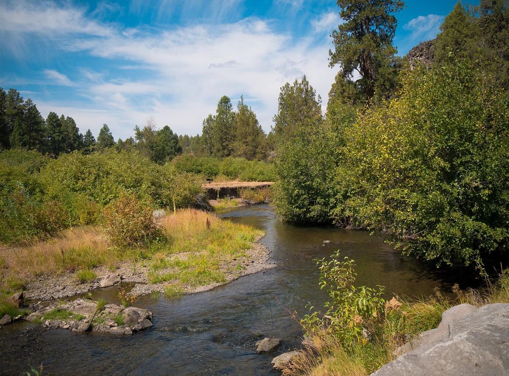 File:Boulders and Brush along Stream-Fremont Winema (32464398692).jpg -  Wikimedia Commons