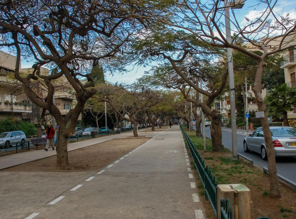 File:Rothschild Boulevard bike lane.JPG - Wikipedia