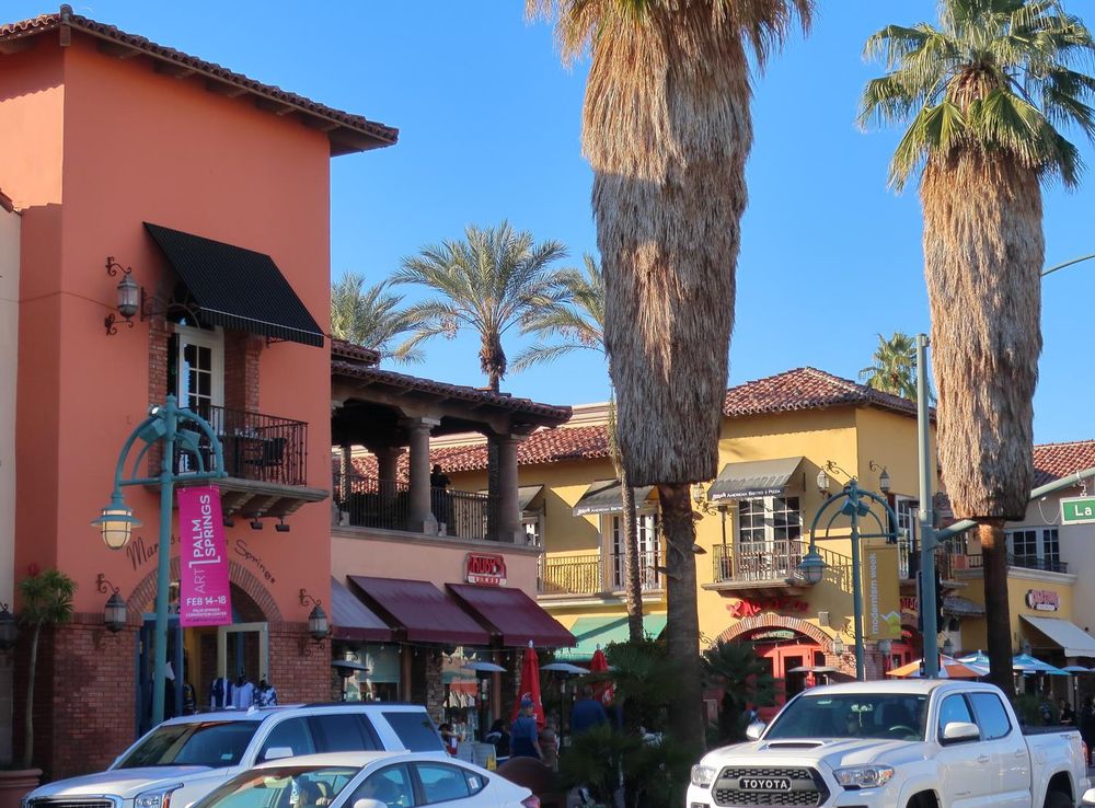 File:190216 228 Palm Springs CA - South Palm Canyon Drive, Mercado Plaza,  signature Washingtonia filifera California Fan Palm uniquely trimmed  (33297252808).jpg - Wikimedia Commons