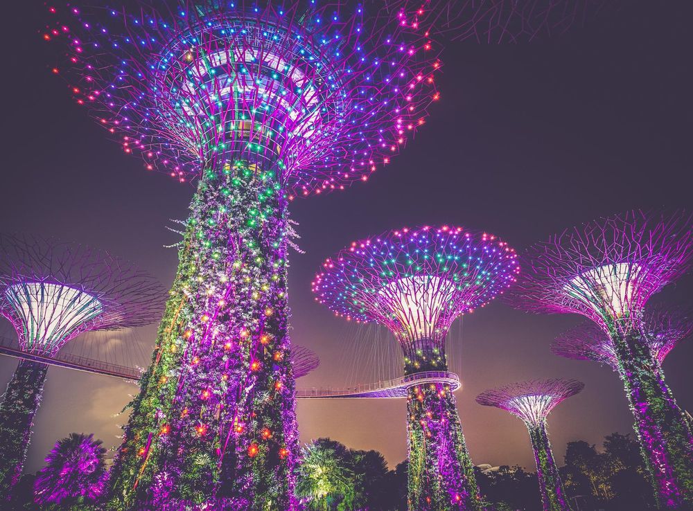 File:Supertree Grove, Gardens by the Bay, Singapore, at night -  20150909.jpg - Wikimedia Commons