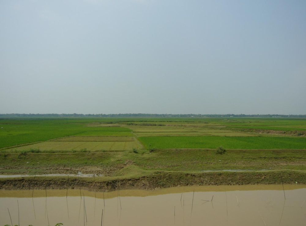 চিত্র:Hakaluki Hawor in Dry Season Sylhet Bangladesh.JPG - উইকিপিডিয়া