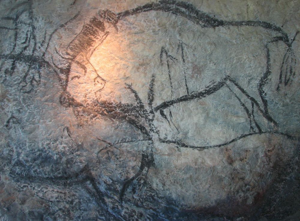 File:Niaux, bisons.JPG - Wikipedia