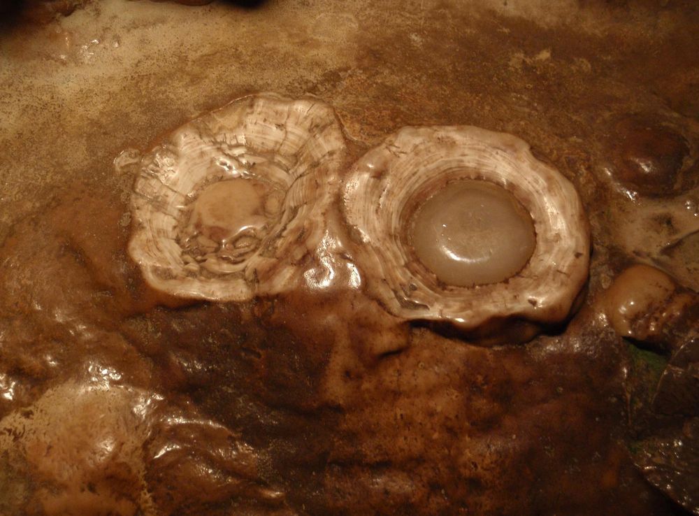 File:Fried Eggs - Luray Caverns.JPG - Wikimedia Commons