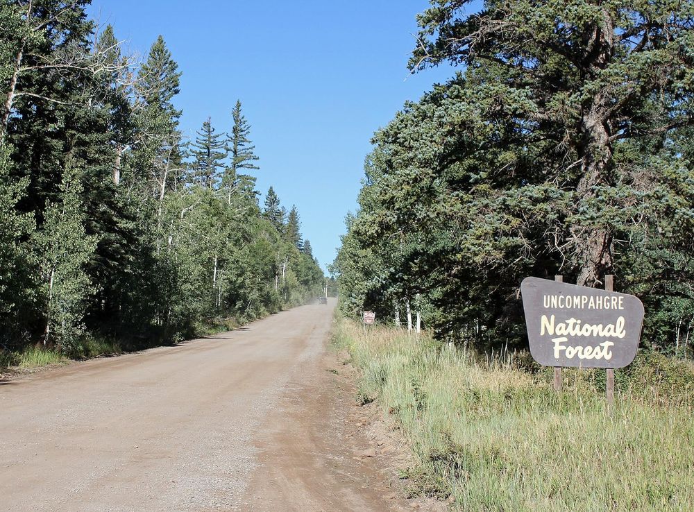 File:Uncompahgre National Forest.JPG - Wikimedia Commons
