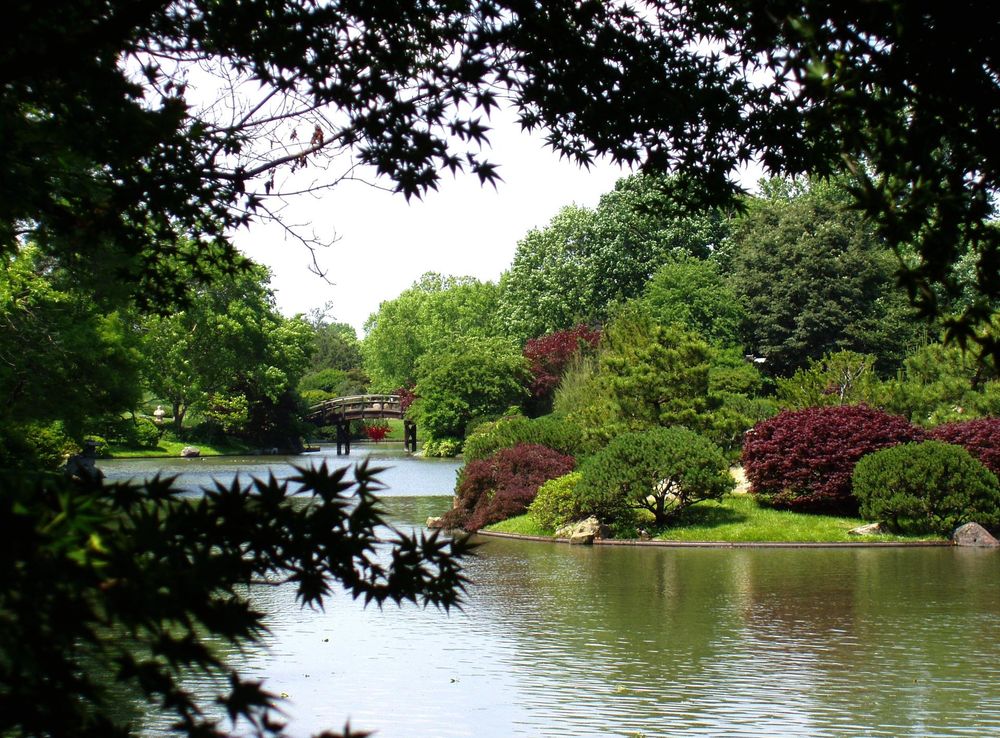 File:Missouri Botanical Garden - Seiwa-en.JPG - Wikipedia