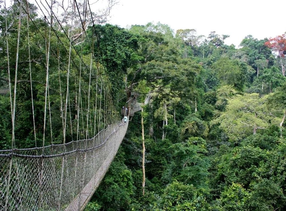 File:Kakum.jpg - Wikimedia Commons