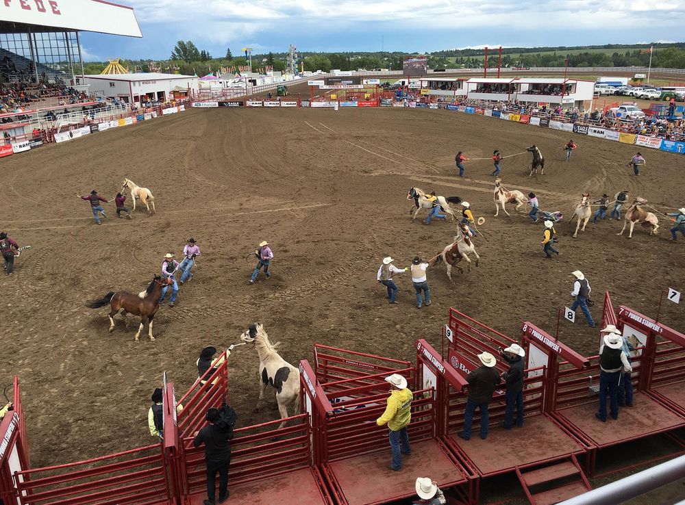 File:Ponoka rodeo 2016 (27974989896).jpg - Wikimedia Commons