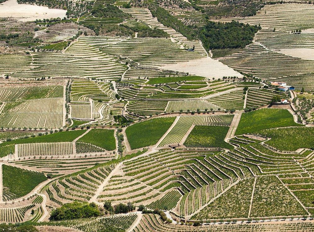 File:River Douro Valley Portugal - Vallée de la rivière Douro Portugal -  Wine Vin Porto - Picture Image Photography (14962280582).jpg - Wikimedia  Commons