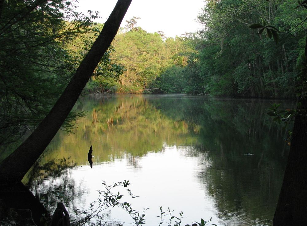 File:Cong weston lake.JPG - Wikimedia Commons