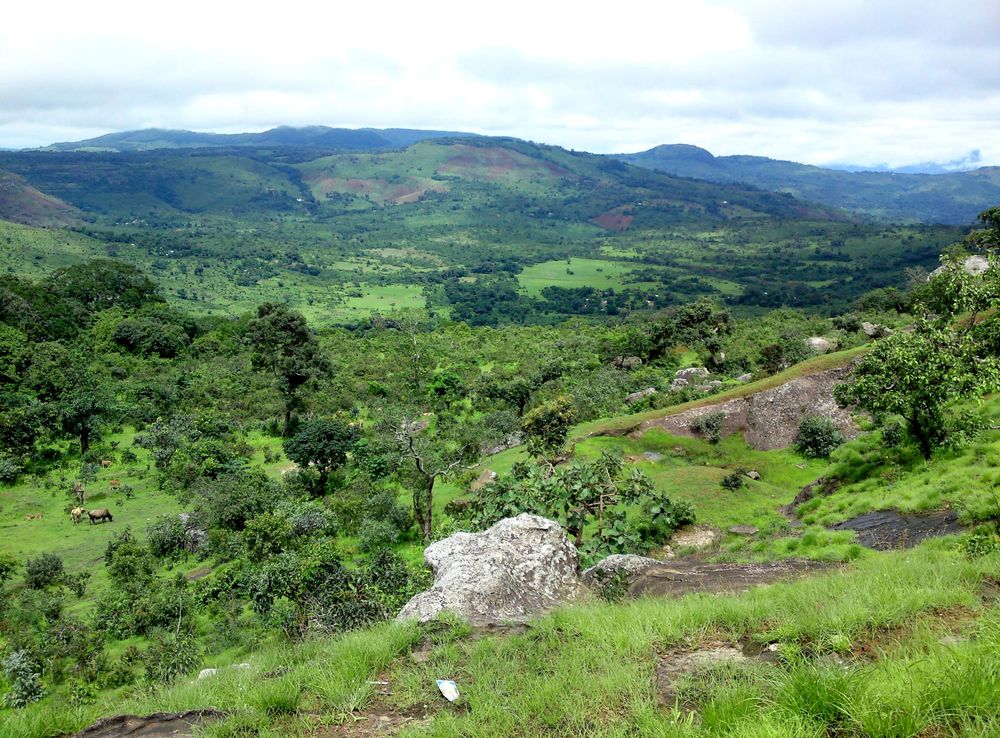 File:Fouta Djallon (14582291826).jpg - Wikipedia