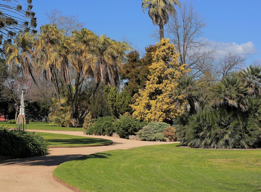 File:Albury botanical gardens 2.JPG - Wikimedia Commons