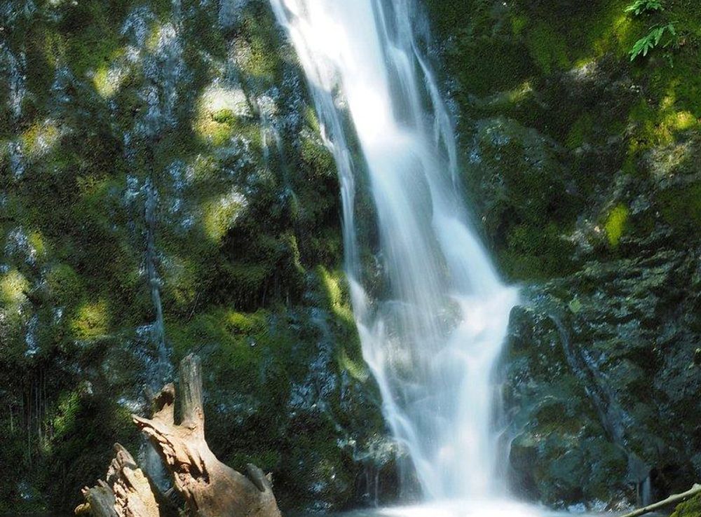Creek Photos Images | Free Photos, PNG Stickers, Wallpapers & Backgrounds -  rawpixel