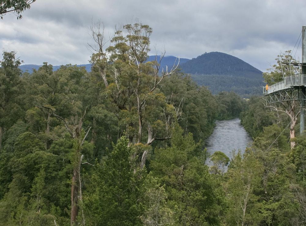 File:Tahune-Air walk-Tasmania-Australia06 (cropped).JPG - Wikipedia