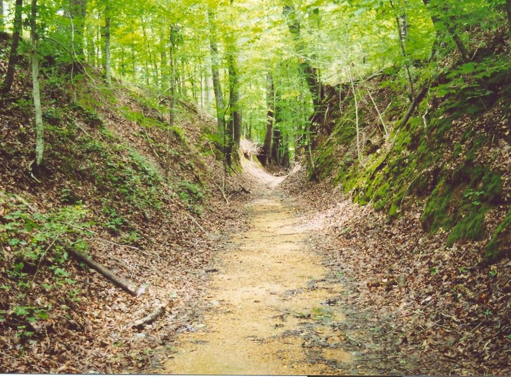 File:OldTraceSunken.jpg - Wikimedia Commons