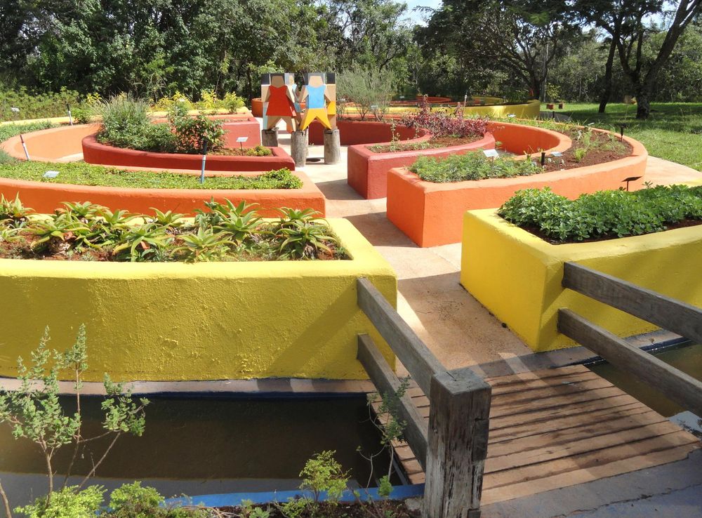 Ficheiro:Sensorial Garden (Jardim Botânico de Brasília) - DSC09664.JPG –  Wikipédia, a enciclopédia livre