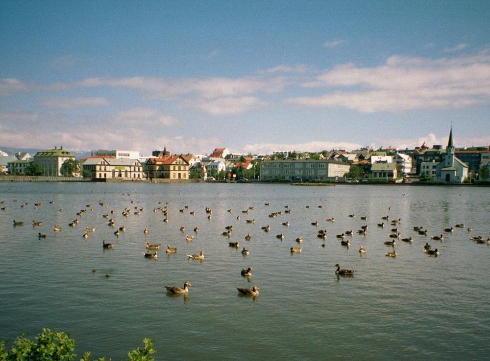 File:Tjörnin Reykjavik.JPG - Wikimedia Commons