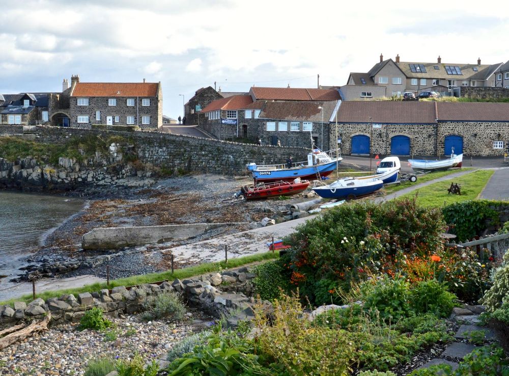 File:Craster (9815015975).jpg - Wikimedia Commons