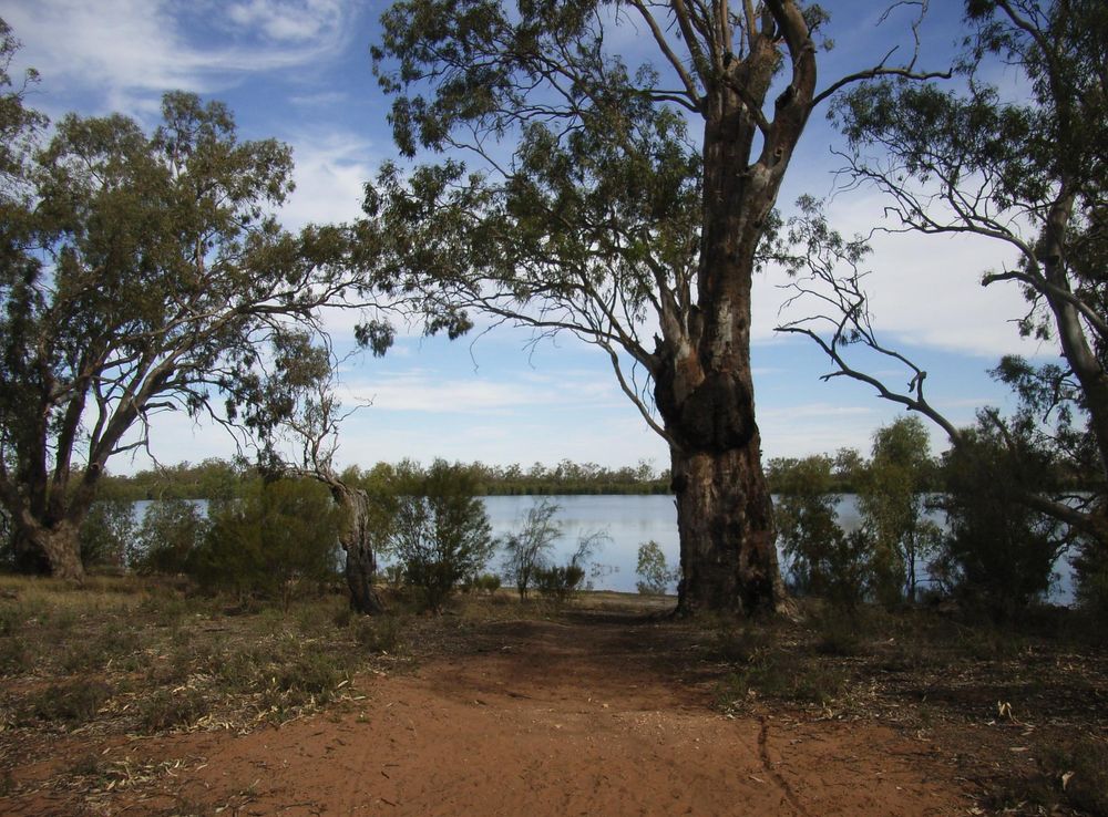File:Hattah Lake.JPG - Wikimedia Commons