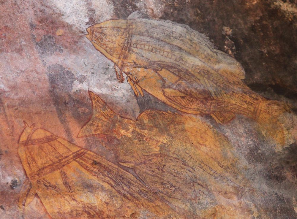 File:Aboriginal rock art -Ubirr Art Site, Kakadu National Park, Northern  Territory, Australia-9June2012 (1).jpg - Wikimedia Commons