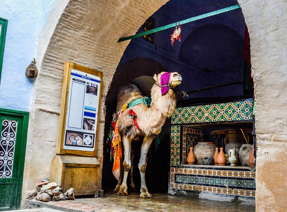 File:Bir Barrouta (Kairouan).jpg - Wikimedia Commons