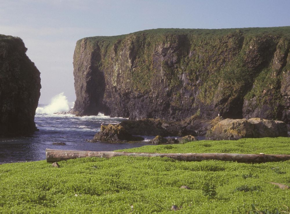 File:Alaska Maritime National Wildlife Refuge, Aleutian Island Unit.jpg -  Wikimedia Commons