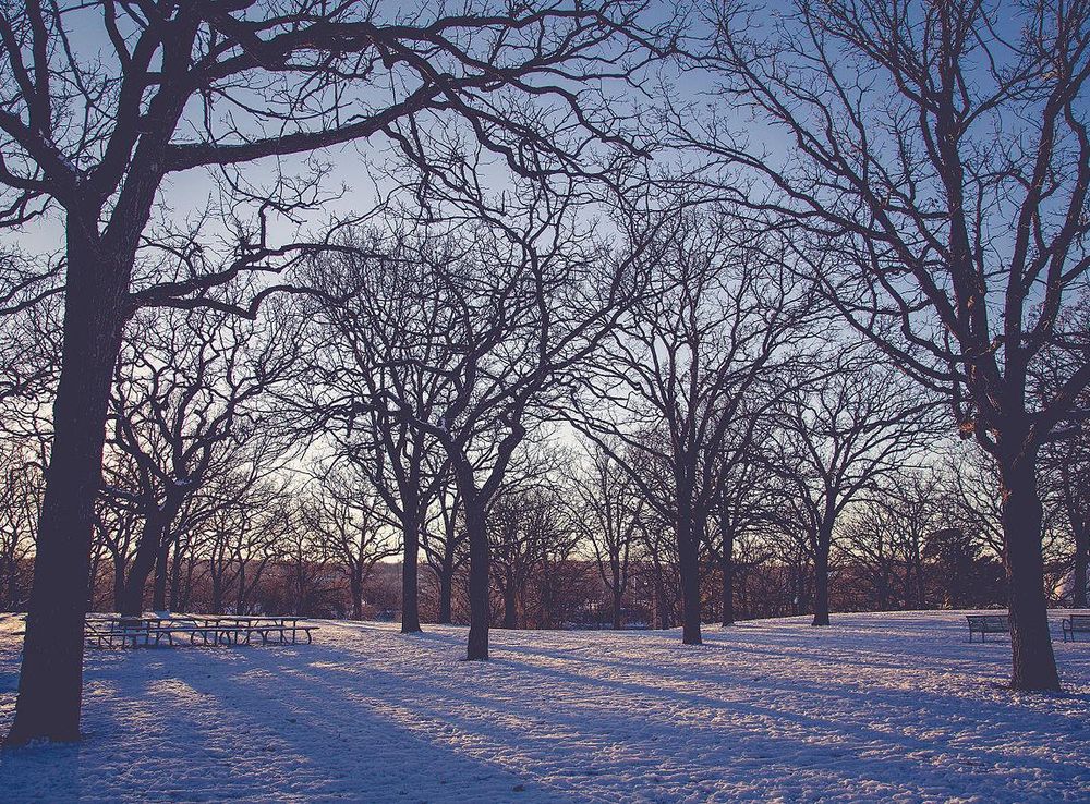 File:Riverside Park, Saint Cloud, Minnesota - Winter (24138428175).jpg -  Wikimedia Commons