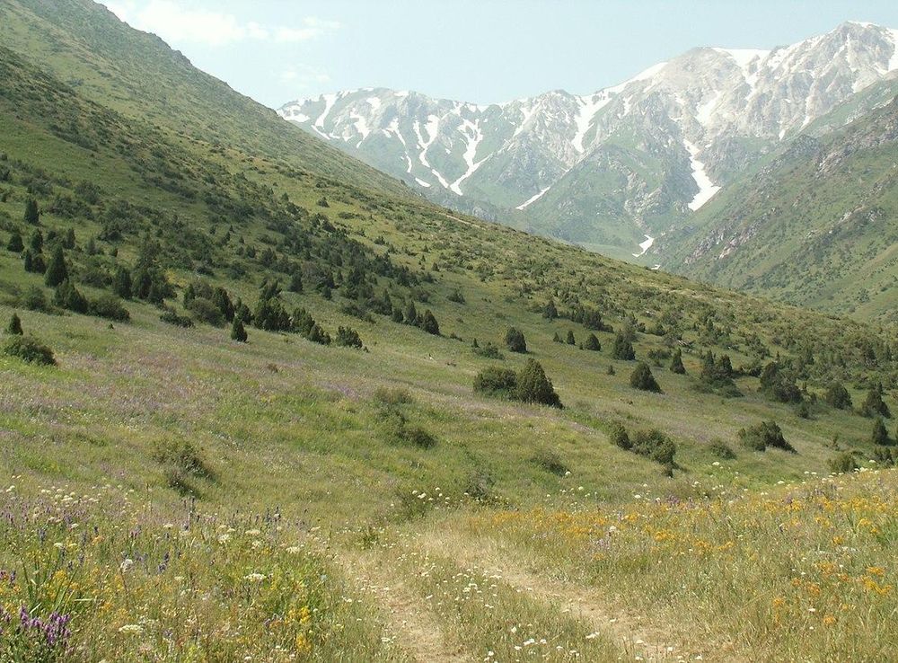 File:Aksu Jabagly 2.JPG - Wikipedia