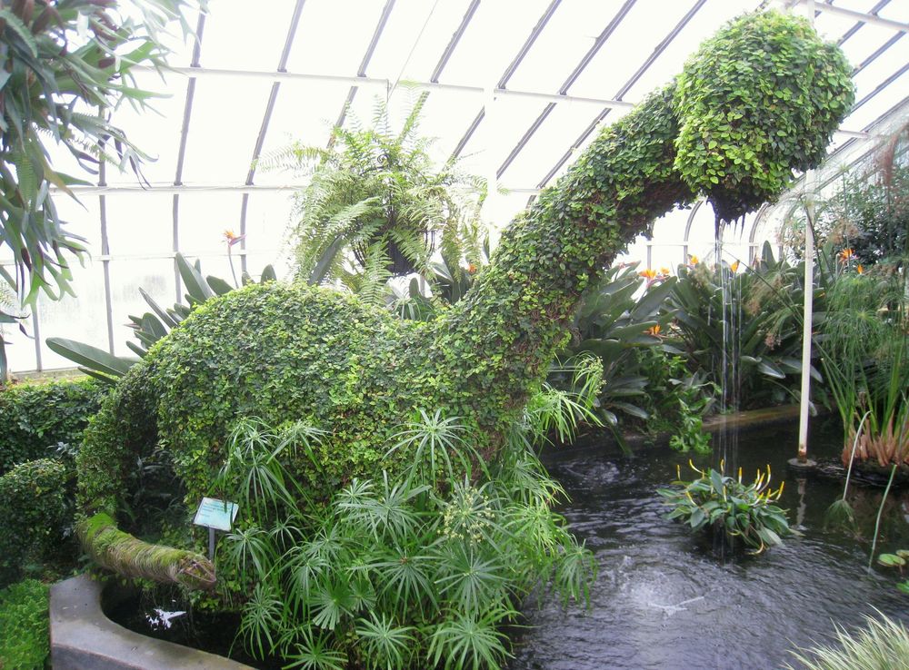 File:Buffalo and Erie County Botanical Gardens - 1-10 - IMG 3513.JPG -  Wikimedia Commons