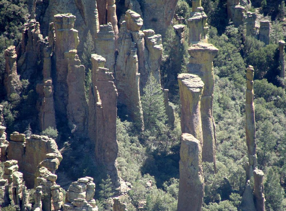 File:Chiricahua nima6.JPG - Wikimedia Commons