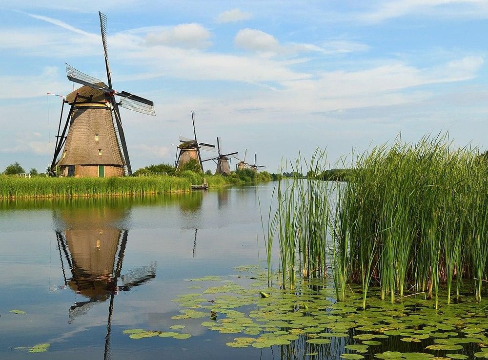 File:The windmills of Kinderdijk.JPG - Wikimedia Commons