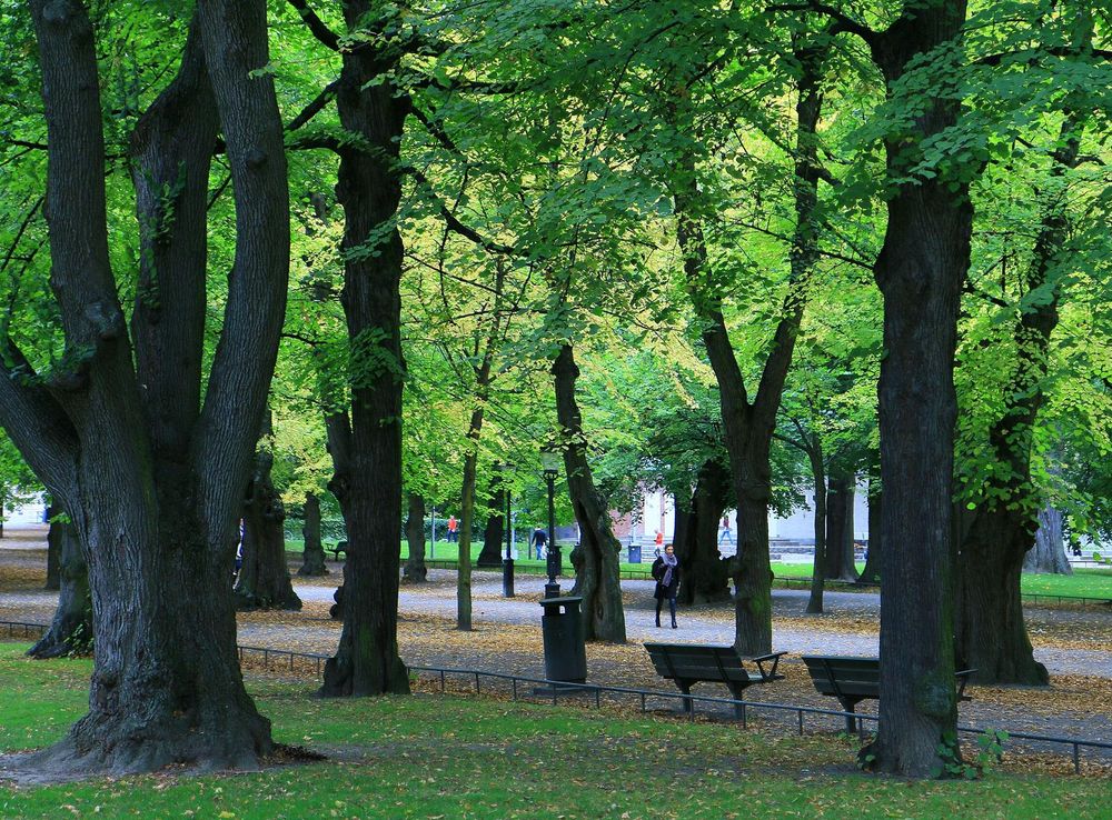 File:The park Humlegården in central Stockholm bb.JPG - Wikimedia Commons