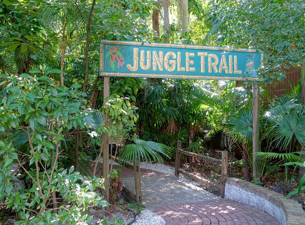 File:Jungle trail - Sarasota Jungle Gardens - Sarasota, Florida -  DSC01948.jpg - Wikimedia Commons